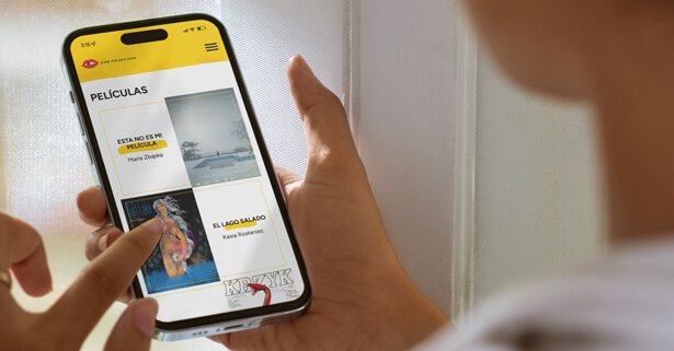 Realizacja strony internetowej dla Instytutu Polskiego w Madrycie